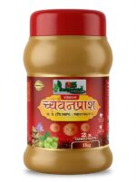 Special Chavanprash 1kg - Image 4